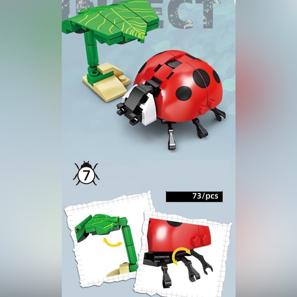 Ladybug 🐞 Insect Series Bug Collection - Picture 3 of 4